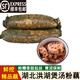 鑫果滋【順豐】洪湖煲湯蓮藕粉藕 湖北特產(chǎn)連藕新鮮面藕桂花糯米紅藕 新上市要高壓鍋煲上汽后40分鐘 1500g