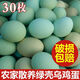 京營速發(fā)新鮮綠殼土雞蛋烏雞蛋農(nóng)家散養(yǎng)綠殼初生雞蛋草雞蛋糧食雞蛋 綠殼蛋 30枚(初生小蛋 )