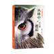 叢林中的一百萬(wàn)種邂逅——克魯格動(dòng)物記