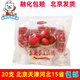 富康富迪手工金枕榴蓮山楂網(wǎng)紅榴蓮味雪糕紅果味冰激凌冷飲75g 富康手工山楂20支