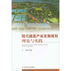 現代蔬菜產(chǎn)業(yè)發(fā)展規劃理論與實(shí)踐