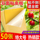 巨融黃板雙面粘蟲(chóng)板誘蟲(chóng)紙貼黃色飛蟲(chóng)小黑飛沾果蠅誘捕器粘板針?lè )浯笈?50張黃色【特大號20*25cm】加厚