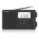 熊貓（PANDA） 6218收音機全波段可充電式插卡藍牙收音機老人新款便攜式迷你鬧鐘高靈敏廣播半導體 黑色【官方標配】