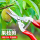 富立仕摘果剪刀剪葡萄橘子蔬果采摘剪子果園果樹(shù)剪枝工具水果店剪刀 白鋼款短翹頭（推薦）