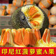 七果優(yōu)品印尼紅紅肉菠蘿蜜新鮮新鮮進(jìn)口熱帶水果香脆甜紅心小木波羅一整個 紅色 8-10印尼紅【精選紅肉】
