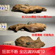 森淵（SENYUAN） 紫柚木精品天然魚(yú)缸造景沉木秒沉大號免煮樹(shù)樁樹(shù)根曬龜臺造景木 7871精品沉木