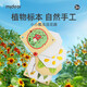 彌鹿（MiDeer）植物壓花器干花兒童文具手工diy標本玩具幼兒園大號圓形標本夾制作套裝戶外教具 手工壓花器/標本夾