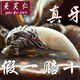 美芙仁 藏銀狼牙項(xiàng)鏈男士真牙真黑狗牙骨質(zhì)吊墜男霸氣藏獒牙齒飾品禮物 特大號(hào)約4.7-4.9cm包藏銀牙