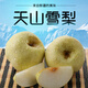 新疆天山雪梨 應(yīng)季水果梨子新鮮脆梨雪當(dāng)季特產(chǎn)貢梨整箱 9斤