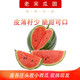 老宋 大興龐各莊袖珍小西瓜小吊瓜水果L600新鮮水果2個裝總重3kg--3.5kg