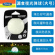 petmate美國進(jìn)口Chuckit夜間寵物狗玩具球防丟夜光彈力球揮撿球桿 夜光彈球（大）7.6cm