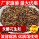發(fā)酵花生麩 花生殼腐熟有機肥通用營(yíng)養土蘭花類(lèi)專(zhuān)用植料肥料松針?shù)從?5斤花生殼過(guò)篩干貨