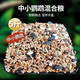冰海精靈 中小型鸚鵡鳥(niǎo)糧黃谷子混合糧食五色黍子小太陽(yáng)玄鳳鸚鵡虎皮牡丹鸚鵡營(yíng)養糧 專(zhuān)用鳥(niǎo)糧搭配好營(yíng)養飼料5斤