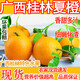 酷奇象夏橙廣西桂林當(dāng)季新鮮水果甜冰糖臍橙子整箱大果現(xiàn)摘現(xiàn)發(fā)爆汁 9斤 70mm(含)-80mm(不含) 大大果
