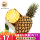 悅己海南鳳梨9斤新鮮香甜小菠蘿應(yīng)季熱帶水果 孕婦水果現(xiàn)摘現(xiàn)發(fā) 3斤中果（單果750g+）2-3個(gè)裝