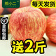 熊小二煙臺(tái)紅富士蘋果當(dāng)季水果新鮮脆甜山東棲霞紅富士冰糖心蘋果5/10斤 實(shí)惠裝凈重4.5-5斤80果10-12個(gè)