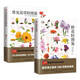 常見花草輕圖鑒+野花輕圖鑒套裝（全2冊）