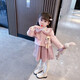 鸞雀翔一歲半小女孩套裝女童秋冬新款連衣裙0-3小童衣服加絨加厚公主裙 粉色貂毛加絨裙粉 90碼 建議身高80-90 體重20-24斤