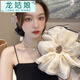 龍姑娘新品超大號雙層網(wǎng)紗發(fā)圈大腸圈簡約氣質(zhì)優(yōu)雅感頭繩頭花百搭女 A2241-2香檳白A24-101