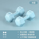 宅體驗(yàn)啞鈴女生健身器材家用一對(duì)初學(xué)者兒童練臂肌套裝男運(yùn)動(dòng)減肥小啞鈴 冰藍(lán) 總重2KG（1kg兩只）