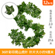 黛暢仿真藤條空調(diào)管子裝飾遮擋綠植藤蔓塑料花藤遮丑下水管道假花綠葉 36葉彩印爬山虎葉（12條）