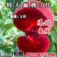 芃畔新品種特大血桃樹(shù)苗正宗紅肉桃苗嫁接桃子苗盆栽地栽南方北方種植 推薦 5年苗【結(jié)果苗】好成活