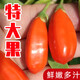 夢茜兒順豐 頭茬鮮枸杞 2斤寧夏新鮮枸杞子禮盒 現(xiàn)摘正宗即食水果鮮茍杞 250g 大果｜鮮枸杞（內(nèi)有小盒裝）