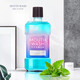 懷夢(mèng)草漱口水 雙重薄荷精華冰藍勁爽清新口氣深層清潔 250mL 1瓶/250ml