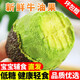 甜果源 進(jìn)口秘魯牛油果 新鮮即食鮮果鱷梨秘森林奶油細膩大果寶寶輔食 單果190g+【5A超大號果】 10個(gè)裝【實(shí)惠裝】