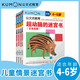 公文式教育：專(zhuān)注兒童情景迷宮書(shū)4-6歲（共4冊）具象迷宮 抽象迷宮 主題迷宮 情景迷宮 了解日本名勝提升空間邏輯力推理能力