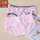 2枚裝  三槍內褲女夏季新品舒膚彈力棉女印花甜美少女蕾絲邊褲頭底褲三角褲 混色1 M