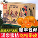 逢橘 橘正宗臺(tái)州臨海涌泉蜜桔子黃巖現(xiàn)摘柑橘當(dāng)季新鮮無(wú)核橘子10斤禮盒裝 優(yōu)選【9-10斤】*1箱