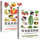 常見蔬菜圖鑒+常見水果圖鑒 全2冊 五谷雜糧營養(yǎng)介紹飲食功效解讀 食材選購指南美食烹飪菜譜 食物營養(yǎng)搭配飲食宜忌大全書飲食功效
