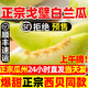 果真游正宗戈壁白蘭瓜州沙漠蜜瓜銀蒂西貝甜瓜甘肅當季新鮮水果密瓜10斤 【10斤裝】2個5斤｜順豐