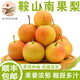 鮮姿遼寧南國梨南果梨香水梨醉梨酒香梨禮盒東北特產(chǎn)水果 8.5-9斤中果 暢享裝