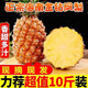 海南金鉆鳳梨10斤現(xiàn)摘現(xiàn)發(fā)無眼菠蘿鳳梨 臺灣鳳梨新鮮手撕菠蘿ww 3斤