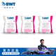 倍世（BWT）凈水壺濾芯 歐洲原裝進口 過濾凈水器家用濾水壺凈水壺多效通用 3只環(huán)保散裝 鎂離子專利款濾芯