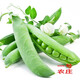 元井匯（YUANJINGHUI）荷蘭豆種子豌豆尖種籽四季菜種大全荷蘭豆種籽蔬菜苗種孑農家菜籽 荷蘭豆種子（約160粒）