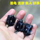 魔都墨龜觀(guān)賞龜全黑小烏龜中華草龜苗頂墨龜寵物龜情侶全墨長(cháng)壽龜 繁殖組3只（一公二母） 頂墨苗6-7厘米