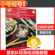 管樂(lè )隊標準化訓練教程-小號 短號1 掃碼配套音頻 布魯斯 皮爾森 皮爾森管樂(lè )隊教材 原版引進(jìn) 上海音樂(lè )出版社