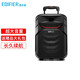 漫步者（EDIFIER）PP308 戶外藍牙廣場舞音響 無線話筒便攜式拉桿音箱專業(yè)演出會議專用 PP308音響+無線話筒1+金屬U段話筒1