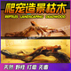 寵寶它【火熱促銷】爬寵造景木鬣鬃獅蜥蜴攀爬曬臺(tái)睫角守宮變色龍爬蟲飼 20-25厘米