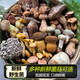 土地母親計劃2025云南見手青野生菌紅蔥白蔥牛肝菌新鮮菌菇野生菌組合 6-8種野生菌組合【推薦】500g