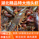 湖北潛江自產(chǎn)自銷清水稻田鮮活小龍蝦5斤裝大蝦超大（干凈免刷） 10錢大炮頭五斤（一斤大概9-10）
