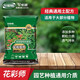 花彩師大包營(yíng)養月季土杜鵑球根庭院養花鐵線(xiàn)蓮種植專(zhuān)用土綠植家用通用型 盆栽通用介質(zhì)28L