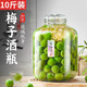 拜杰泡酒容器玻璃泡酒專用瓶密封玻璃瓶酒壇釀酒瓶泡菜壇子泡酒瓶