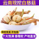 良知農(nóng)哥 【順豐可選】 云南新鮮大號白茨菇 茨菰慈姑 慈菇 慈菰 健康輕食 5斤大號丨普通快遞