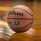 Wilson威爾勝NCAA OVATION高性能皮料筋溝貼皮成人7號(hào)籃球【京東專供】