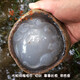 緣芭蒂（YuanBaDi）瑪瑙原石水膽瑪瑙玉石玉髓雕刻件精品擺件男手把件奇石收藏 水膽瑪瑙擺件1帶底座