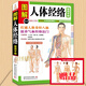贈穴位圖 圖解人體經(jīng)絡(luò )使用手冊 健康大學(xué)堂  拔罐刮痧艾灸氣功食